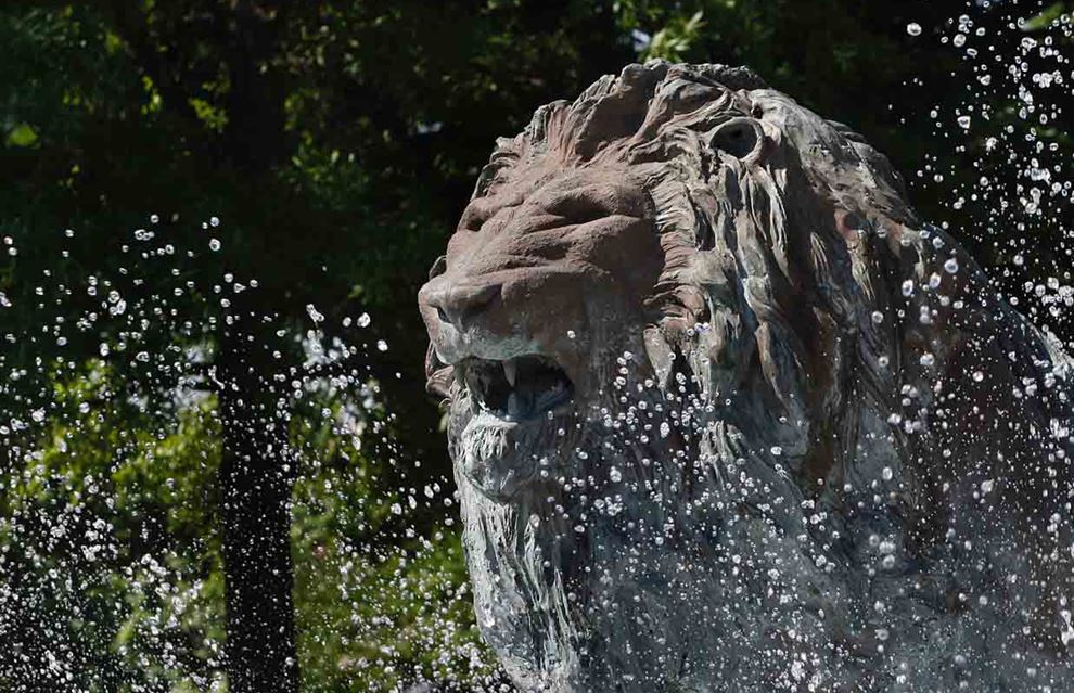 Meredith-Hamlet---Lion-Fountain