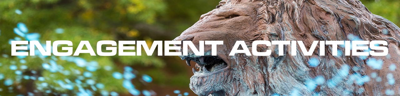 Engagement Activities