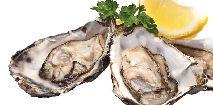 oyster roast